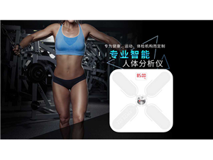 體(tǐ)重秤如(rú)何測脂肪？