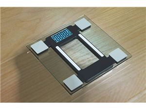 Fat scale manufacturers